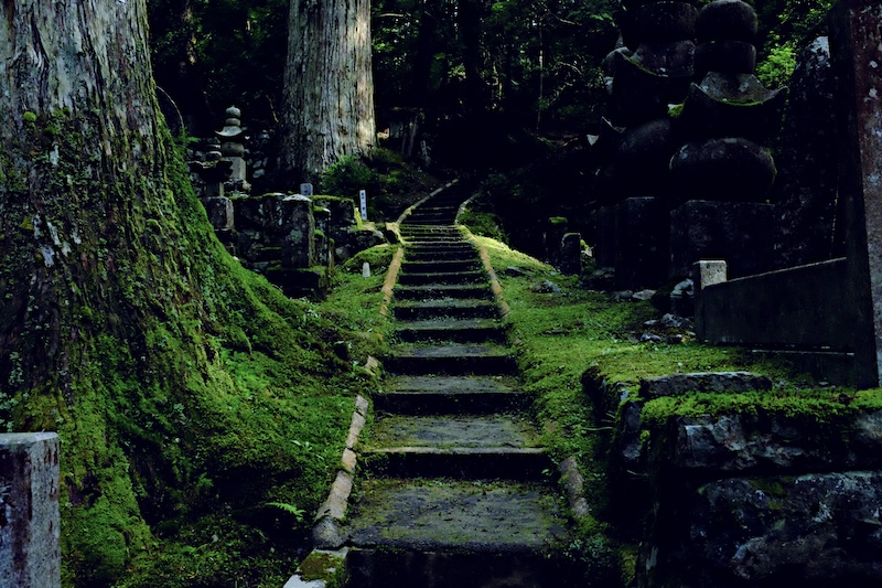 Bright green moss grows around and on top of a staircase, winding up a small hill in Okuno-in cemetery in Koyasan, Japan.