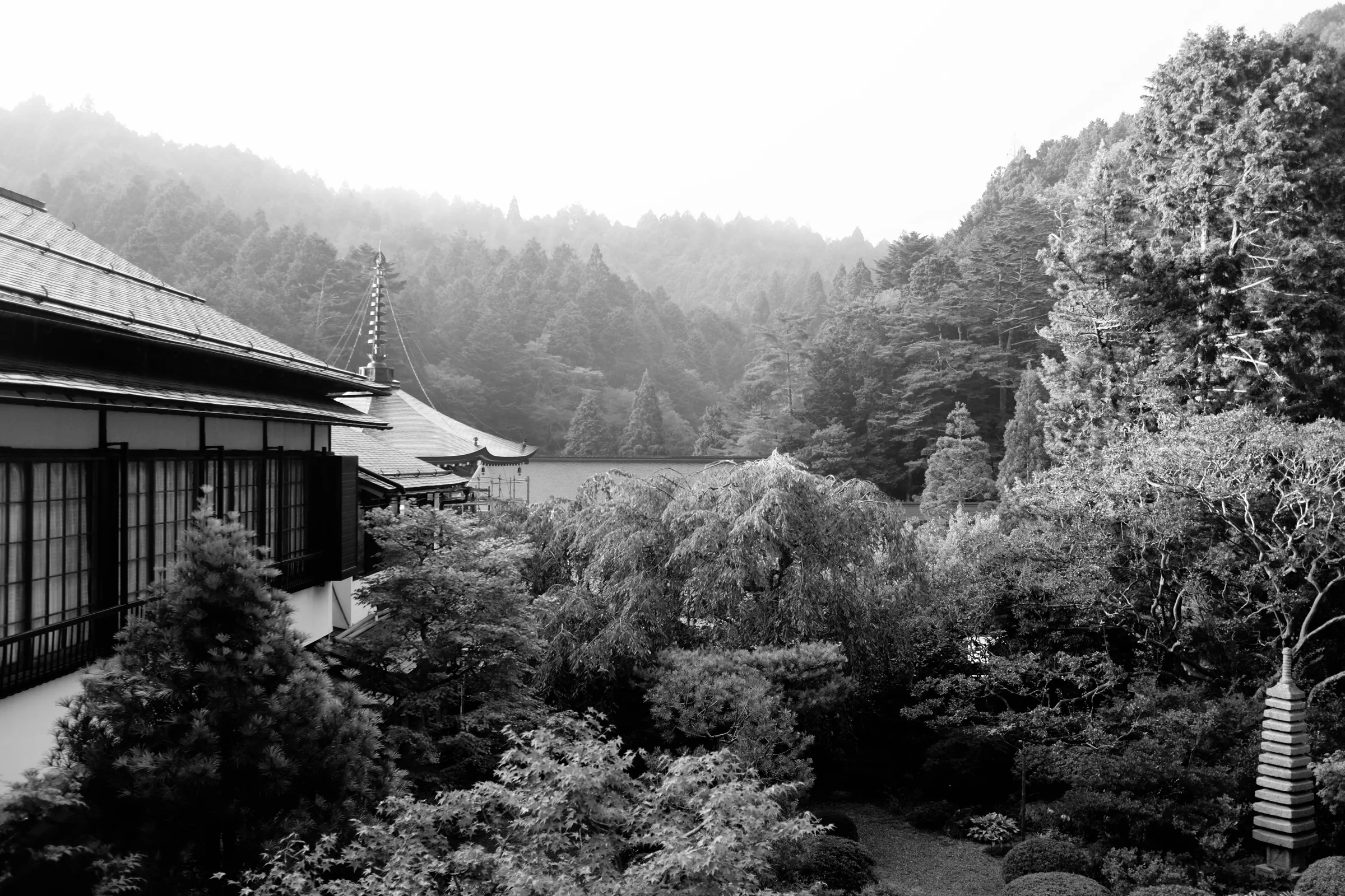 A view from a second story window, above a courtyard, that looks onto the rising tree lines of a mountain.