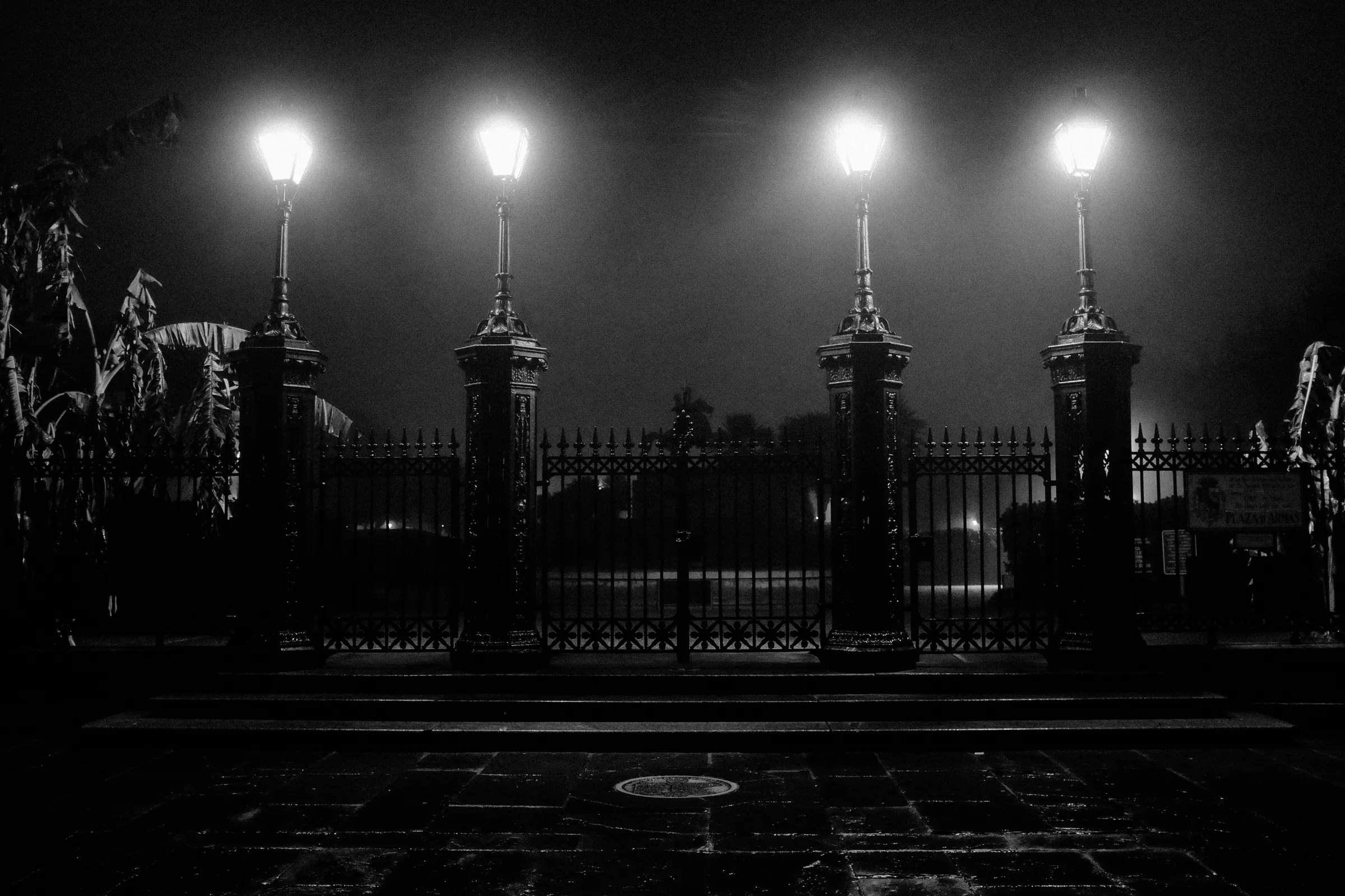 Four large lamps above the closed gate, along the fence outside of Jackson Square, their light dispersing into the evening fog.