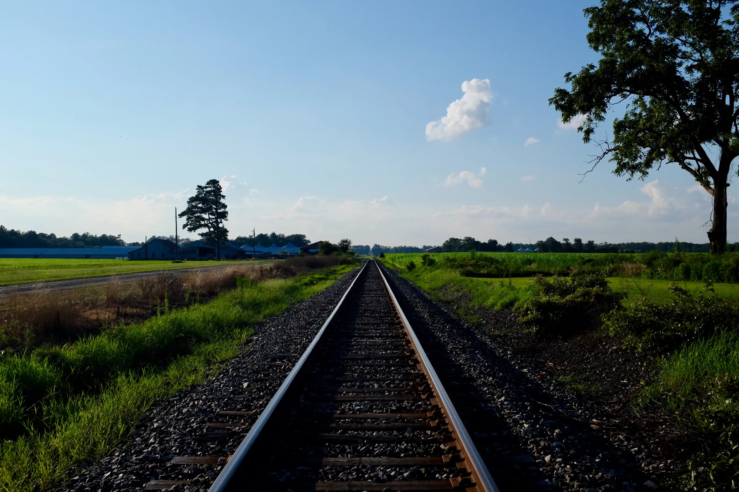 Train tracks looking north, disappearing in the distance with gray stones and green grass on either side, trees and farm buildings near the horizon.
