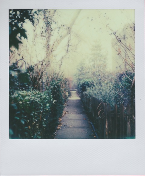A color Polaroid photograph a narrow garden path, framed by green leaves. Photo taken in Queens, New York City, USA.
