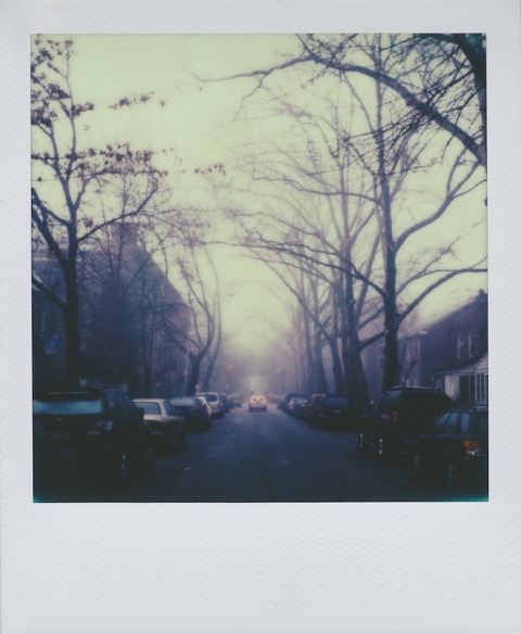 A color Polaroid photograph of long street, lined with cars. The mostly bare branches of large plain trees stretch overhead. In the distance, a car drives away. Photo taken in Queens, New York City, USA.
