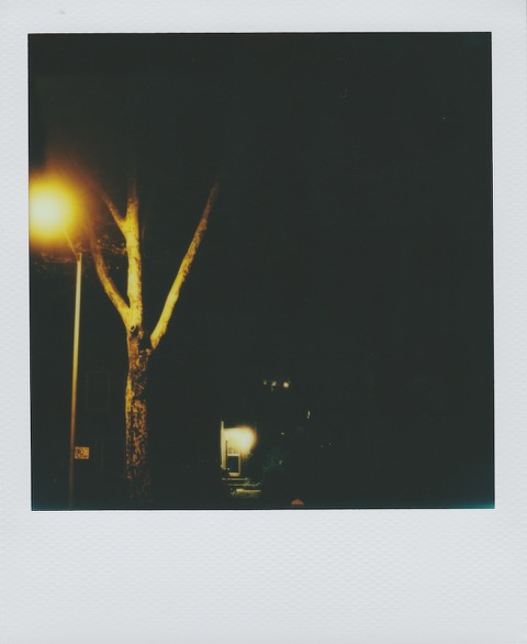 A color Polaroid photograph bright yellow street light on a metal pole, illuminating a tall tree to its right. Farther right, there are a few steps, leading up the door of a small house. Photo taken in Queens, New York City, USA.