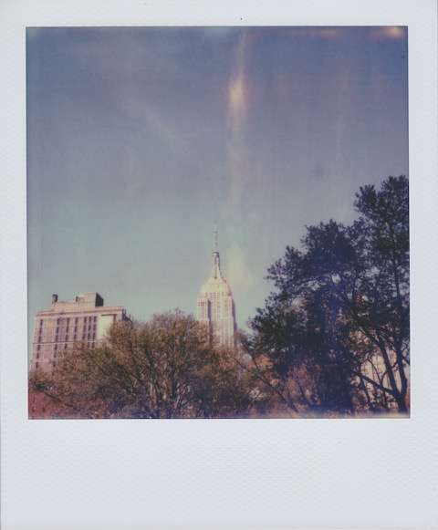 A color Polaroid photograph of a few green trees. Behind the trees, a tall, Art Deco skyscraper in the front of a blue sky. Photo taken in Manhattan, New York City, USA.