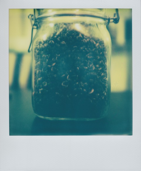 A color Polaroid photograph of a large glass jar filled with small, rolled black tea. Photo taken in Queens, New York City, USA.