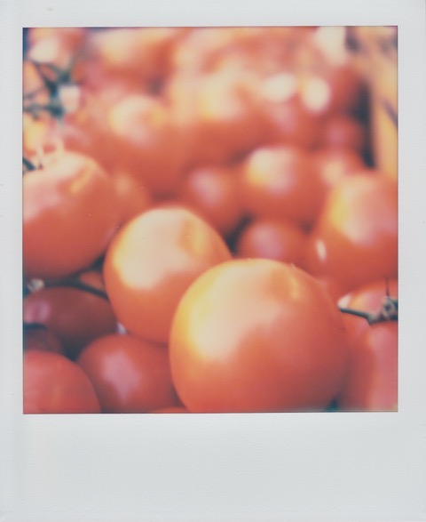 A color Polaroid photograph of a pile of red tomatoes. Photo taken in Queens, New York City, USA.